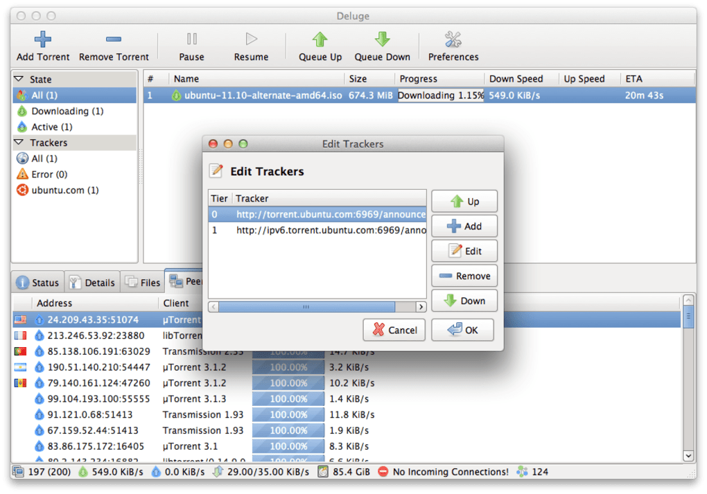 Torrent client for mac 10.4